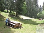 Picnic en sous bois